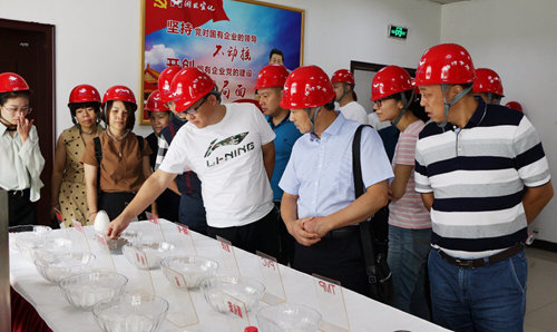 攜手同行 共筑未來(lái)——宜化集團(tuán)召開2019年保險(xiǎn)粉客戶洽談會(huì)(圖1)