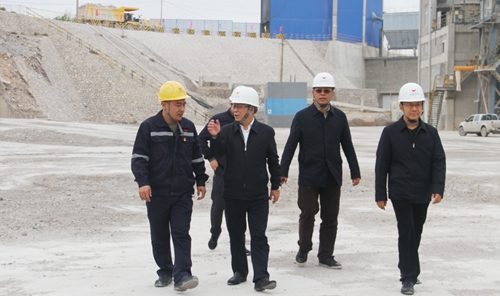 王大真到內蒙宜化走訪調研(圖2) 王大真到內蒙宜化走訪調研(圖2)