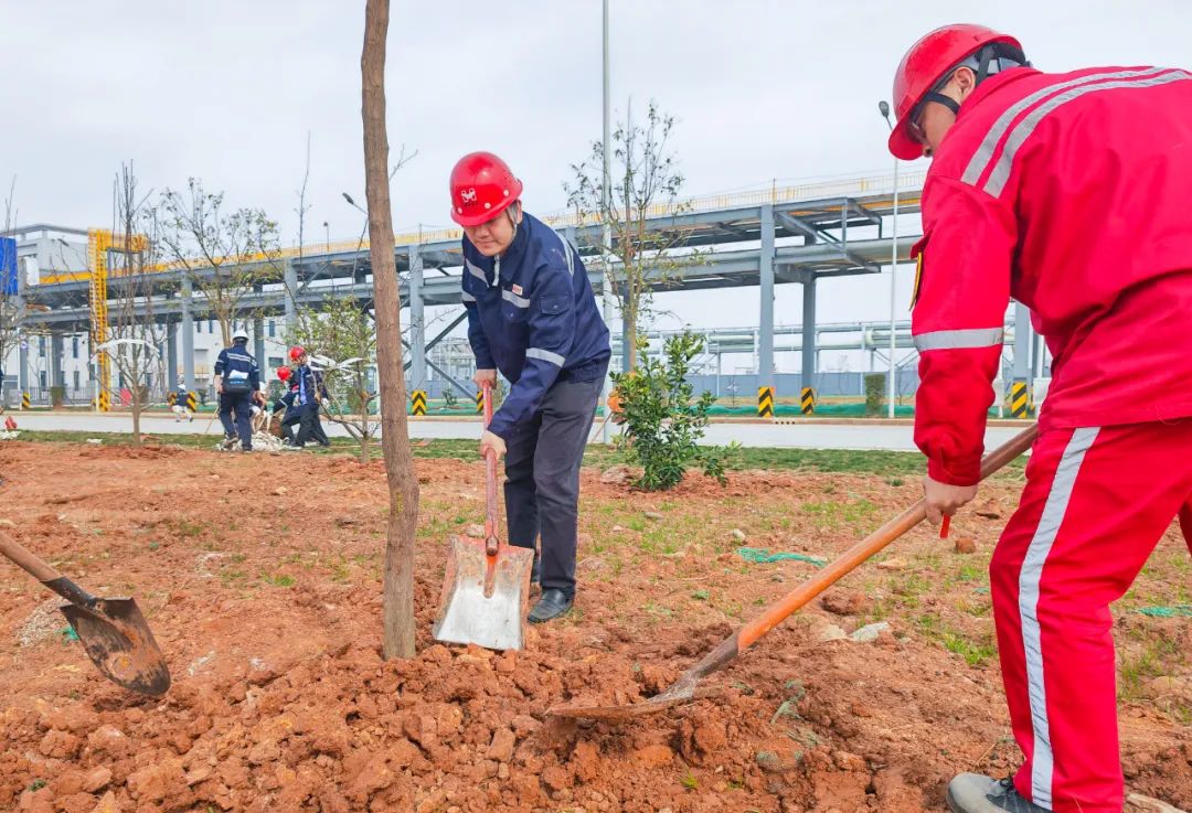 “植”此青綠共“樹”未來!集團(tuán)各公司開展植樹活動(圖11) “植”此青綠共“樹”未來!集團(tuán)各公司開展植樹活動(圖11)