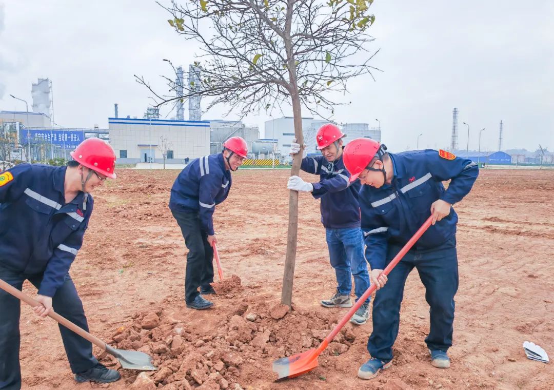 “植”此青綠共“樹”未來!集團(tuán)各公司開展植樹活動(圖9) “植”此青綠共“樹”未來!集團(tuán)各公司開展植樹活動(圖9)