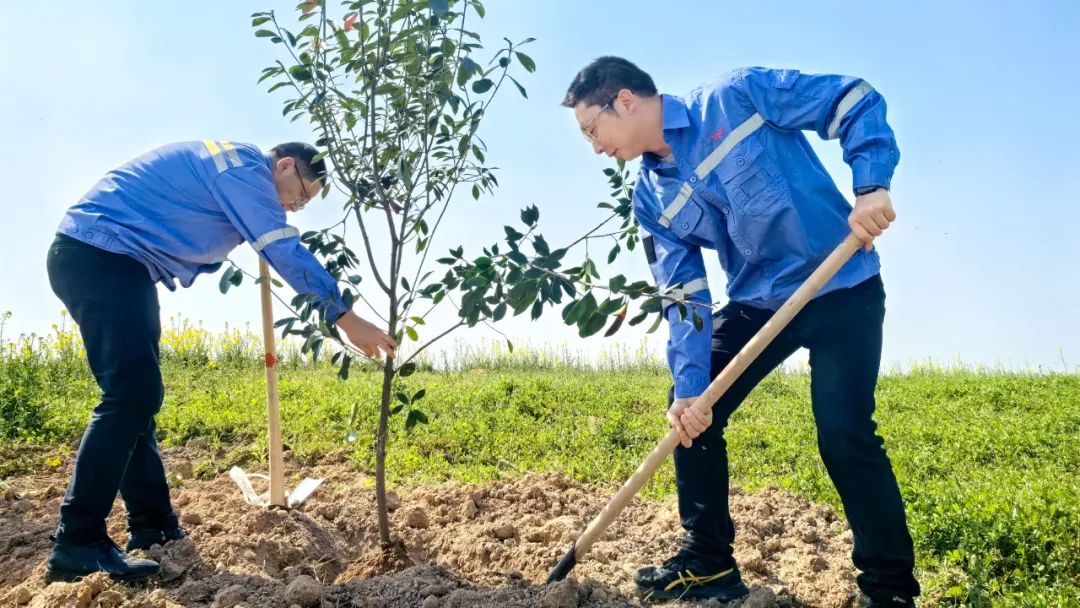 “植”此青綠共“樹”未來!集團(tuán)各公司開展植樹活動(圖15) “植”此青綠共“樹”未來!集團(tuán)各公司開展植樹活動(圖15)