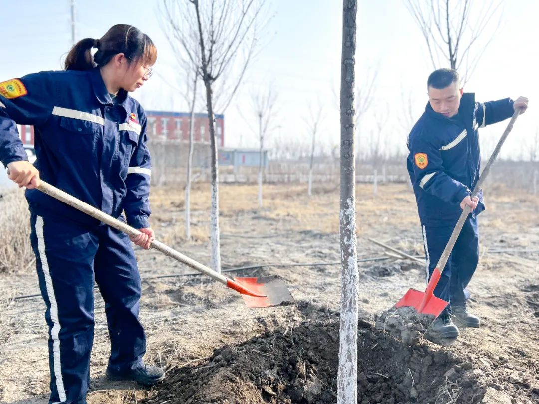 “植”此青綠共“樹”未來!集團(tuán)各公司開展植樹活動(圖21) “植”此青綠共“樹”未來!集團(tuán)各公司開展植樹活動(圖21)