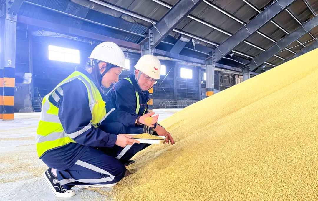 股份公司：精準(zhǔn)施策促提升，全力奪取“開(kāi)門紅”(圖4)