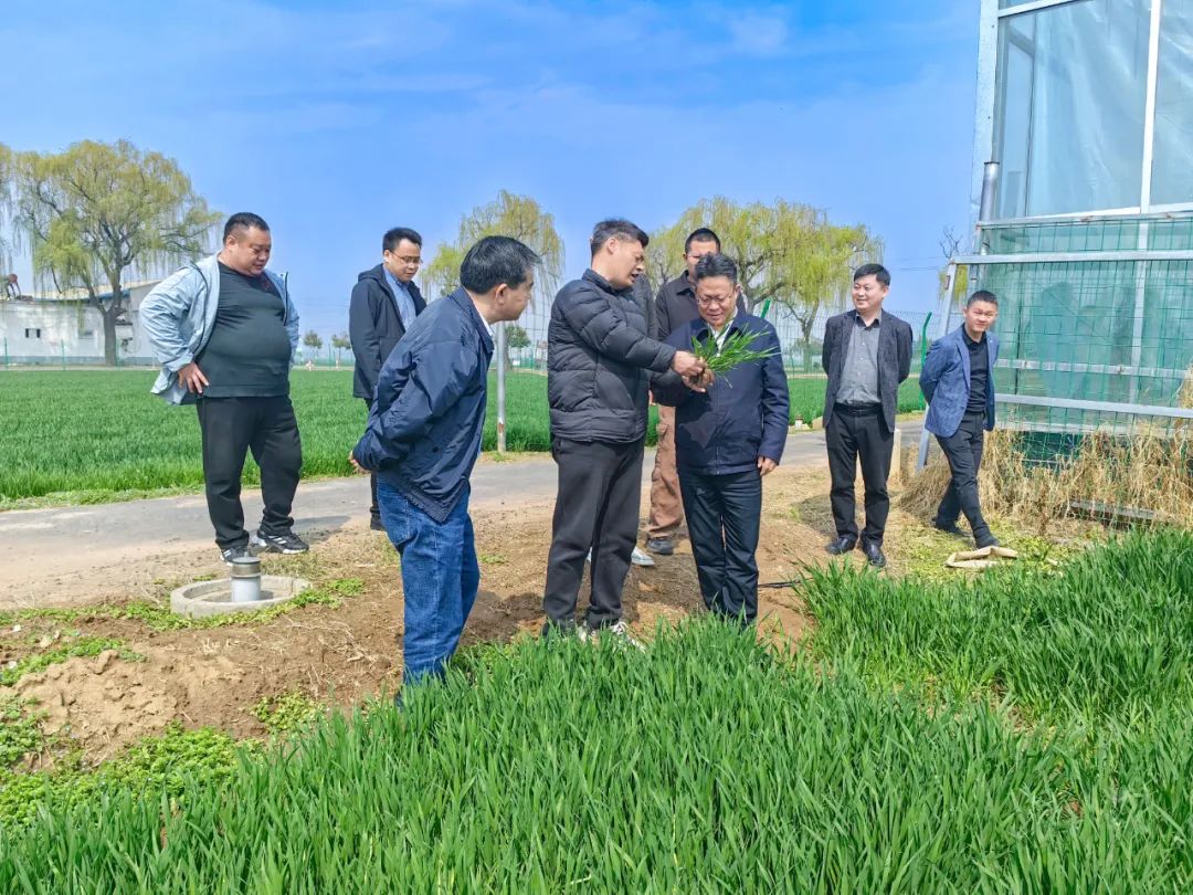 王大真走訪調研河南銷售市場(圖2) 王大真走訪調研河南銷售市場(圖2)