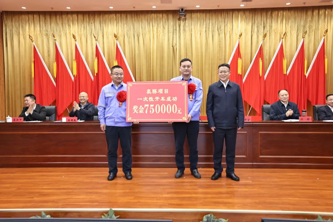 宜化集團召開氨醇項目成功投產總結表彰大會(圖3) 宜化集團召開氨醇項目成功投產總結表彰大會(圖3)