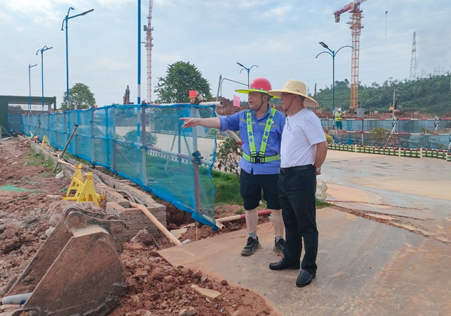 王大真到楚星片區和田家河園區現場調研(圖1) 王大真到楚星片區和田家河園區現場調研(圖1)