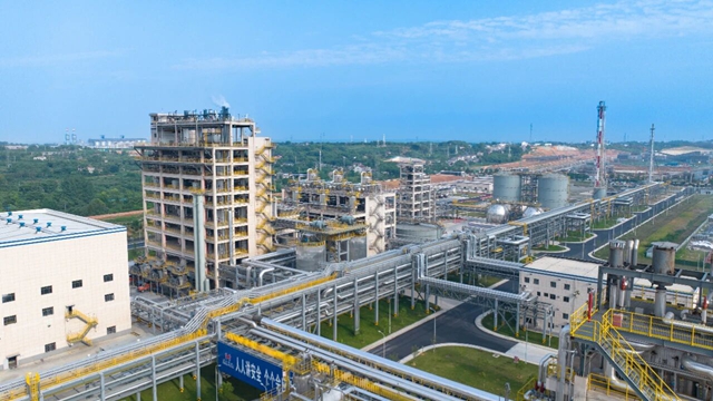 集團兩家單位入選2024年度石化行業重點產品能效“領跑者”名單