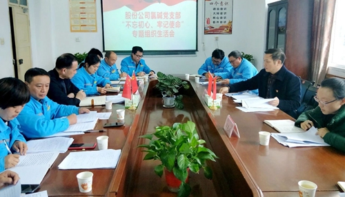 向宇飛列席指導股份公司氯堿黨支部“不忘初心、牢記使命”專題組織生活會