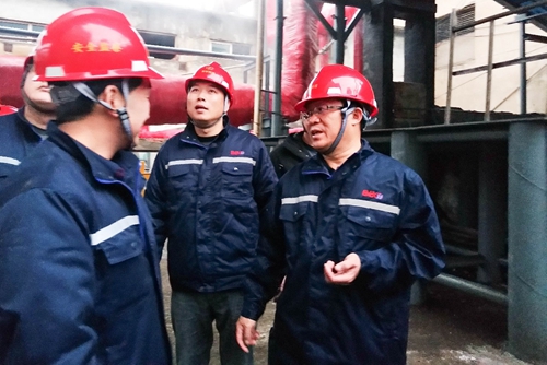 王大真到雙環(huán)公司現(xiàn)場調研