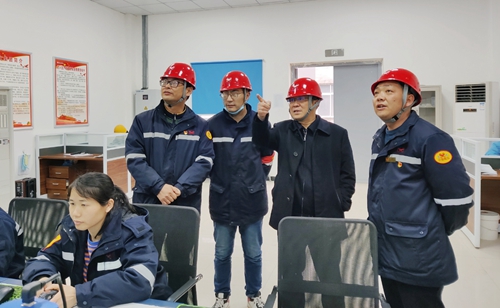 王大真到松滋肥業、楚星公司現場檢查指導工作